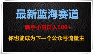 最新蓝海赛道,新手小白日入500+,你也能成为下一个公众号流量主【揭秘】-金融资料分享