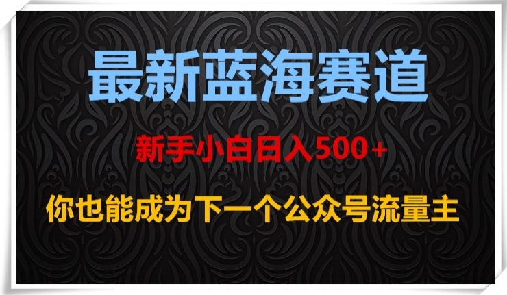 最新蓝海赛道,新手小白日入500+,你也能成为下一个公众号流量主【揭秘】-金融资料分享