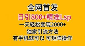 全网首发!日引800+精准老色批,一天变现2000+,独家引流方法,可矩阵操作【揭秘】-金融资料分享