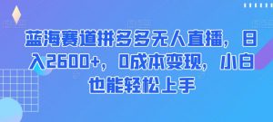 蓝海赛道拼多多无人直播,日入2600+,0成本变现,小白也能轻松上手【揭秘】-金融资料分享