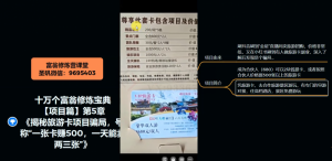 十万个富翁修炼宝典之5.揭秘旅游卡项目骗局，号称“一张卡赚500，一天能卖两三张”-金融资料分享
