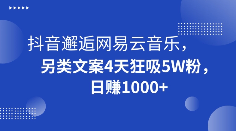 抖音邂逅网易云音乐，另类文案4天狂吸5W粉，日赚1000+【揭秘】-金融资料分享