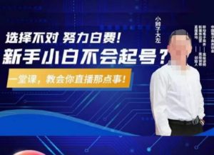 大左教您从0到1做直播带货，选择不对，努力白费，5小时课程搞定那点事，解决你起号问题-金融资料分享
