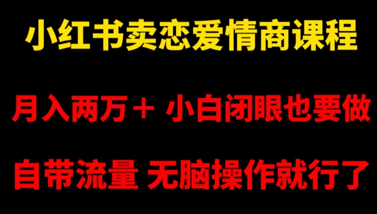 小红书卖恋爱情商课程，月入两万＋，小白闭眼也要做，自带流量，无脑操作就行了【揭秘】-金融资料分享