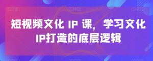 短视频文化IP课,学习文化IP打造的底层逻辑-金融资料分享