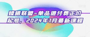 臻曦联盟-单品微付费正价起号，2024年1月最新课程-金融资料分享