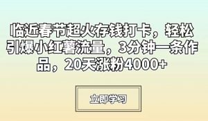 临近春节超火存钱打卡，轻松引爆小红薯流量，3分钟一条作品，20天涨粉4000+【揭秘】-金融资料分享