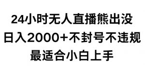 快手24小时无人直播熊出没，不封直播间，不违规，日入2000+，最适合小白上手，保姆式教学【揭秘】-金融资料分享