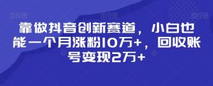 靠做抖音创新赛道，小白也能一个月涨粉10万+，回收账号变现2万+【揭秘】-金融资料分享