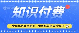 2024最新知识付费项目,小白也能轻松入局,全网都在教你做项目,我教你做镰刀【揭秘】-金融资料分享