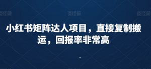 小红书矩阵达人项目，直接复制搬运，回报率非常高-金融资料分享