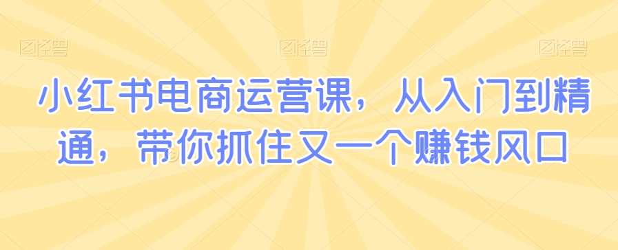 小红书电商运营课,从入门到精通,带你抓住又一个赚钱风口-金融资料分享