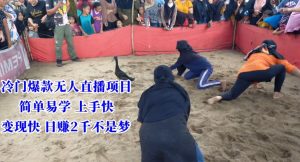 冷门爆款无人直播项目，简单易学上手快，变现快日赚2千不是梦【揭秘】-金融资料分享