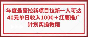 年度最豪拉新项目拉新一人可达40元单日收入1000+红薯推广计划实操教程【揭秘】-金融资料分享