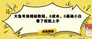 怎么样靠阿里大厂撸金，背靠大厂日入2000+，大鱼号保姆级教程，0成本，0基础小白看了就能上手【揭秘】-金融资料分享