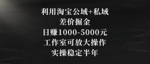 利用淘宝公域+私域差价掘金，日赚1000-5000元，工作室可放大操作，实操稳定半年【揭秘】-金融资料分享