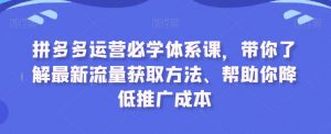 拼多多运营必学体系课，带你了解最新流量获取方法、帮助你降低推广成本-金融资料分享