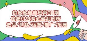 拼多多培训班第34期：做高价女装必盈利剖析选品/测款/运营/推广/拓展-金融资料分享