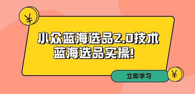 拼多多培训第33期:小众蓝海选品2.0技术-蓝海选品实操!-金融资料分享
