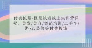 付费流量·巨量线索线上集训营课程，美发/美容/舞蹈培训/二手车/游戏/装修等付费投流-金融资料分享