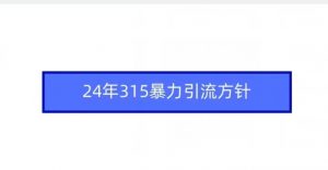 24年315暴力引流方针-金融资料分享