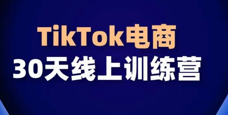 TikTok电商带货30天线上课,不可错过的全球流量洼地!-金融资料分享