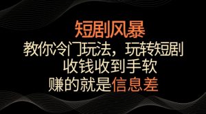 短剧风暴,教你冷门玩法,玩转短剧,收钱收到手软【揭秘】-金融资料分享