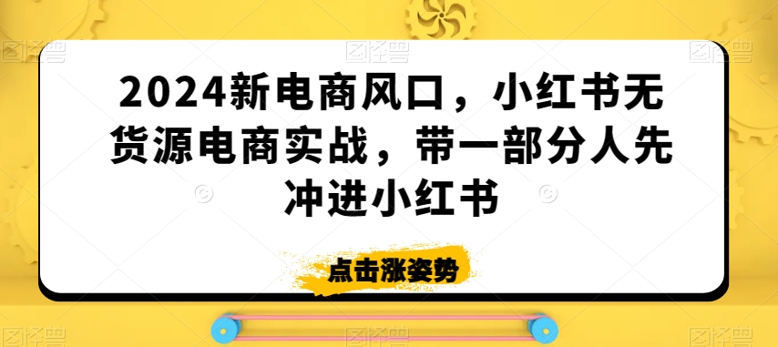 2024新电商风口,小红书无货源电商实战,带一部分人先冲进小红书-金融资料分享