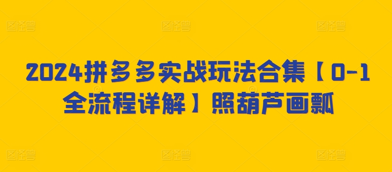 2024拼多多实战玩法合集【0-1全流程详解】照葫芦画瓢-金融资料分享