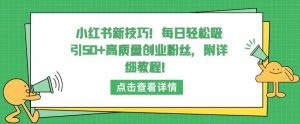 小红书新技巧，每日轻松吸引50+高质量创业粉丝，附详细教程【揭秘】-金融资料分享