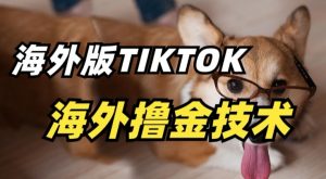抖音海外版tiktok撸金技术，这个风口行业，赚钱真的不难【揭秘】-金融资料分享