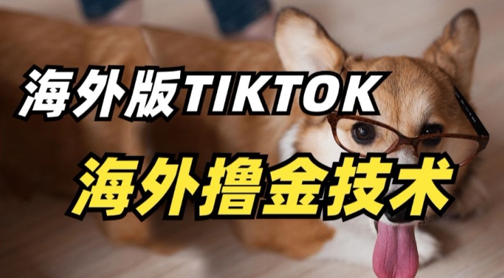 抖音海外版tiktok撸金技术,这个风口行业,赚钱真的不难【揭秘】-金融资料分享