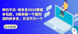 拼多多2024零成本包起,0成本做一个高利润的拼多多,方法不只一个-金融资料分享