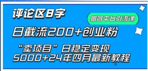 抖音评论区8字日截流200+创业粉 “卖项目”日稳定变现5000+【揭秘】-金融资料分享