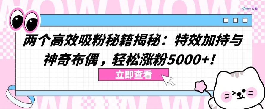 两个高效吸粉秘籍揭秘:特效加持与神奇布偶,轻松涨粉5000+【揭秘】-金融资料分享