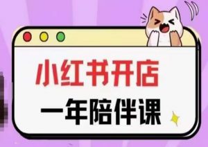 三九小红书开店一年陪伴课(更新)，从0到1玩赚小红书开店-金融资料分享