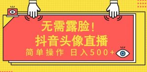无需露脸，Ai头像直播项目，简单操作日入500+【揭秘】-金融资料分享