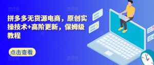 拼多多无货源电商,原创实操技术+高阶更新,保姆级教程-金融资料分享