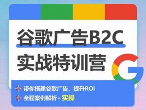谷歌广告B2C实战特训营，500+谷歌账户总结经验，实战演示如何从0-1搭建广告账户-金融资料分享