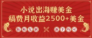 小说出海赚美金，稿费月收益2500+美金，仅需chatgpt粘贴复制，新手也能玩转【揭秘】-金融资料分享