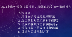 2024小淘纯带货视频项目,无需自己实拍纯剪辑操作-金融资料分享
