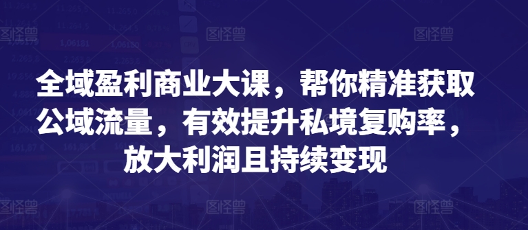 全域盈利商业大课，帮你精准获取公域流量，有效提升私境复购率，放大利润且持续变现-金融资料分享