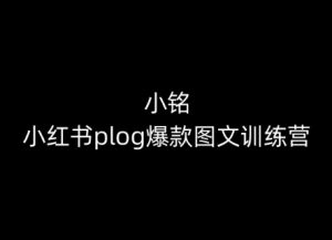 小铭-小红书plog爆款图文训练营，教你从0-1做小红书-金融资料分享