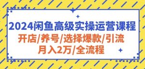 2024闲鱼高级实操运营课程:开店/养号/选择爆款/引流/月入2万/全流程-金融资料分享