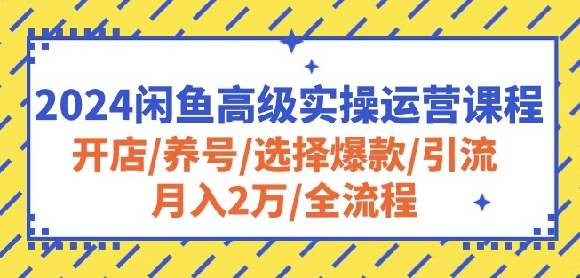 2024闲鱼高级实操运营课程:开店/养号/选择爆款/引流/月入2万/全流程-金融资料分享