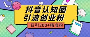 外面收费3980抖音认知圈引流创业粉玩法日引200+精准粉【揭秘】-金融资料分享