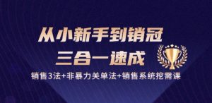 从小新手到销冠 三合一速成：销售3法+非暴力关单法+销售系统挖需课 (27节)-金融资料分享