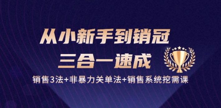从小新手到销冠 三合一速成:销售3法+非暴力关单法+销售系统挖需课 (27节)-金融资料分享