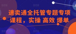 速卖通全托管专题专项课程，实操 高效 爆单-金融资料分享