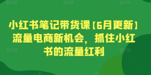 小红书笔记带货课【6月更新】流量电商新机会，抓住小红书的流量红利-金融资料分享